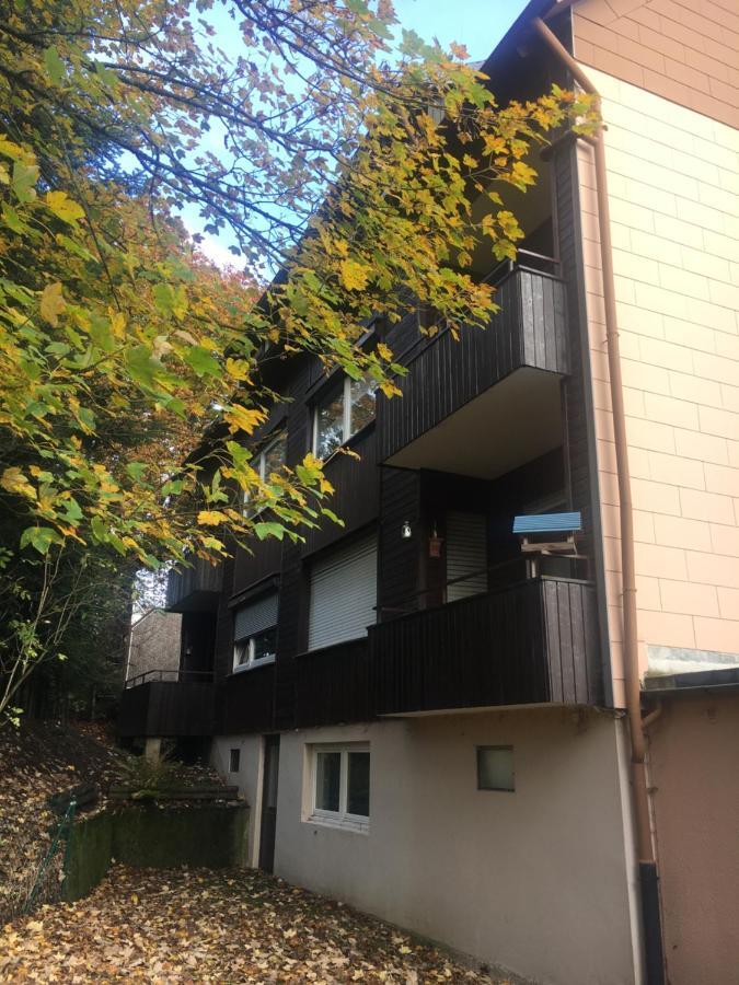 Ferienwohnung Fuchsbau Goslar Exterior photo